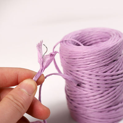 Żelazna liny 2mm Papierowa linia Eco DIY Skręcone papierowe liny biodegradowalne