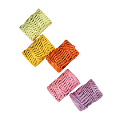 Żelazna liny 2mm Papierowa linia Eco DIY Skręcone papierowe liny biodegradowalne